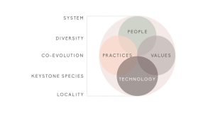 information-ecologies-model-kate-storey3