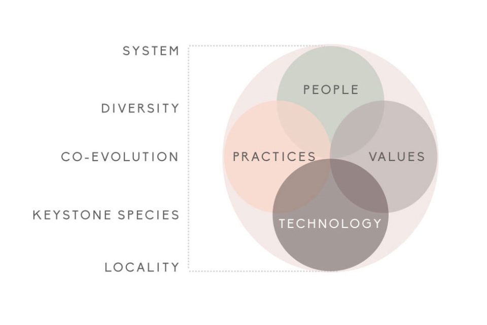 information-ecologies-model-kate-storey3